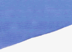 PINGU.gif image by sicnaruto